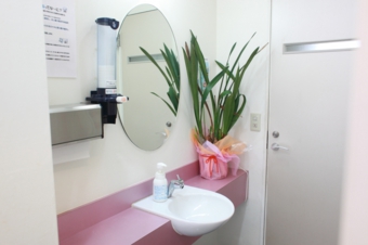 ブラッシングスペース